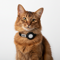 Carica l'immagine nel visualizzatore della galleria, Collier Chat Personnalisable Anti Étranglement Avec AirTag Emplacement