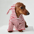 Carica l'immagine nel visualizzatore della galleria, Tee-shirt à Capuche Rayé Pour Chiens Teckel