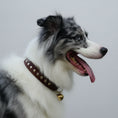 Load image into Gallery viewer, Collier En Cuir Avec Piqures Pour Chien