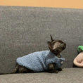 Cargar la imagen en la vista de la galería, Gilet Polaire Effet Laine D Agneau Pour Chat