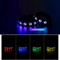 Carica l'immagine nel visualizzatore della galleria, Collier LED Multicolore 7 Modes Pour Chat et Chien