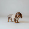 Load image into Gallery viewer, Sweat Sans Manche En Coton Pour Teckel