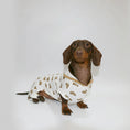 Load image into Gallery viewer, Pyjama Léger Et Elégant Pour Chien Teckel