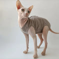 Carica l'immagine nel visualizzatore della galleria, T-Shirt Été Pour Chat Sphynx En Coton