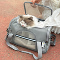 Cargar la imagen en la vista de la galería, Sac Transport Pliable Maille Respirante Voyage Pour Chat Et Chien