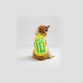 Carica l'immagine nel visualizzatore della galleria, Maillot Football Pour Chien En Maille Légère