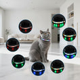 Charger l'image dans la visionneuse de la galerie, Collier LED Rechargeable Étanche Pour Chat Avec Télécommande