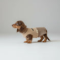 Load image into Gallery viewer, Sweat Sans Manche En Coton Pour Teckel
