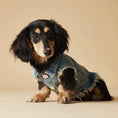 Load image into Gallery viewer, Veste En Jean Sans Manche Pour Chien Teckel