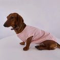 Carica l'immagine nel visualizzatore della galleria, T Shirt Rayé Manches Courtes Pour Chien Teckel