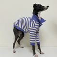 Carica l'immagine nel visualizzatore della galleria, Polo Rayé En Coton Pour Chien Lévrier Et Whippet