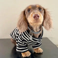 Load image into Gallery viewer, T Shirt Rayé Pour Petits Chiens Teckel