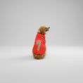 Carica l'immagine nel visualizzatore della galleria, Maillot Football Pour Chien En Maille Légère