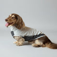 Carica l'immagine nel visualizzatore della galleria, T-shirt anti UV pour teckel en gris avec protection solaire pour les chiens