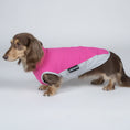Carica l'immagine nel visualizzatore della galleria, T-shirt anti UV pour teckel en rose et gris pour protéger votre chien du soleil