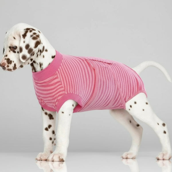 Post-op striped dog t-shirt in comfortable cotton Oscar et Plume