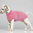 Charger l'image dans la visionneuse de la galerie, T-shirt post opératoire chien rayé rose porté par un chiot dalmatien pour protection après chirurgie
