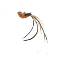 Cargar la imagen en la vista de la galería, Jouet oiseau avec longues plumes naturelles baguette plume oiseau pour chat Oscar et Plume