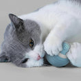 Charger l'image dans la visionneuse de la galerie, Chat gris et blanc jouant avec une balle magique pour chat bleue sur fond bleu