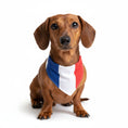 Load image into Gallery viewer, Chien teckel portant un bandana pour chien aux couleurs bleu, blanc, rouge