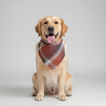 Load image into Gallery viewer, Bandana pour chien en tartan orange et beige, parfait pour les promenades élégantes