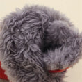 Cargar la imagen en la vista de la galería, Intérieur en tissu doux des bottes pour petit chien Oscar et Plume couleur rouge