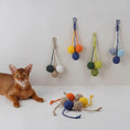 Load image into Gallery viewer, Boule à gratter pour chat Oscar et Plume en laine colorée suspendue et posée avec un chat marron