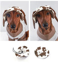 Carica l'immagine nel visualizzatore della galleria, Chien avec un chapeau pour chien en tissu imprimé, parfait pour les promenades ensoleillées