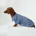 Carica l'immagine nel visualizzatore della galleria, Chemise pour teckel à rayures bleues avec motifs étoilés pour le confort de votre chien