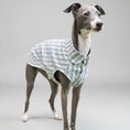Charger l'image dans la visionneuse de la galerie, Whippet portant une chemise pour whippet rayée bleu et blanc en coton légère et élégante