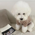Carica l'immagine nel visualizzatore della galleria, Chien blanc portant une chemise élégante pour chien beige tricotée sur un canapé avec un livre