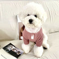 Carica l'immagine nel visualizzatore della galleria, Chien blanc portant une chemise élégante pour chien rose tricotée assis sur un canapé
