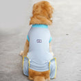 Charger l'image dans la visionneuse de la galerie, Chien Golden Retriever portant un vêtement post-opératoire chien gris et bleu avec bordures jaunes