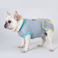 Charger l'image dans la visionneuse de la galerie, Chien portant un vêtement post-opératoire chien gris et bleu de la marque Oscar et Plume