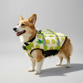 Charger l'image dans la visionneuse de la galerie, Gilet de Sauvetage pour chien Oscar et Plume avec motifs de kiwi et de fruits, idéal pour la baignade