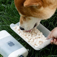 Charger l'image dans la visionneuse de la galerie, Chien buvant de l'eau dans une gourde de voyage chien et chat avec distributeur portable sur de l'herbe