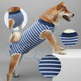 Charger l'image dans la visionneuse de la galerie, Chien portant un t-shirt post-opératoire chien rayé bleu et blanc pour protection après chirurgie