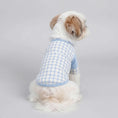 Carica l'immagine nel visualizzatore della galleria, Chien portant un t-shirt pour chien confortable à carreaux bleus et blancs assis près d'une peluche