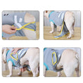 Charger l'image dans la visionneuse de la galerie, Vêtement post-opératoire chien gris avec fermeture velcro jaune pour confort et protection après chirurgie