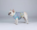 Charger l'image dans la visionneuse de la galerie, Chien portant un vêtement post-opératoire chien gris et bleu pour protection après chirurgie