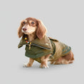 Cargar la imagen en la vista de la galería, Teckel à poil long portant un manteau pour teckel matelassé kaki avec fermeture eclair idéal pour promenades automnales
