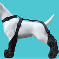 Carica l'immagine nel visualizzatore della galleria, Chaussures étanches pour chien avec sangles réglables noir conçues par Oscar et Plume