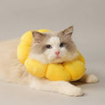 Charger l'image dans la visionneuse de la galerie, Chat avec une collerette protection chat jaune douce pour éviter les blessures et grattages