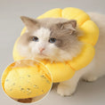 Charger l'image dans la visionneuse de la galerie, Chat avec une collerette protection chat jaune douce et imperméable pour éviter les léchages