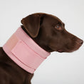 Charger l'image dans la visionneuse de la galerie, Collerette réglable pour chat en rose, idéale pour la récupération et le confort des animaux