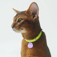 Load image into Gallery viewer, Collier anti-étranglement pour chat Oscar et Plume en vert fluo avec une clochette et un médaillon