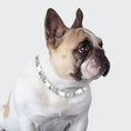 Load image into Gallery viewer, Collier anti-tiques chien d'Oscar et Plume en perles modernes pour un look élégant