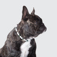 Load image into Gallery viewer, Bouledogue portant un collier apaisant pour chien Oscar et Plume en perles blanches et vertes