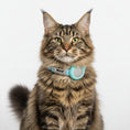 Carica l'immagine nel visualizzatore della galleria, Collier chat anti étranglement en bleu clair avec une boucle sécurisée pour un ajustement confortable
