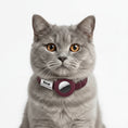 Carica l'immagine nel visualizzatore della galleria, Collier chat anti étranglement en bordeaux avec boucle réfléchissante pour la sécurité de votre chat